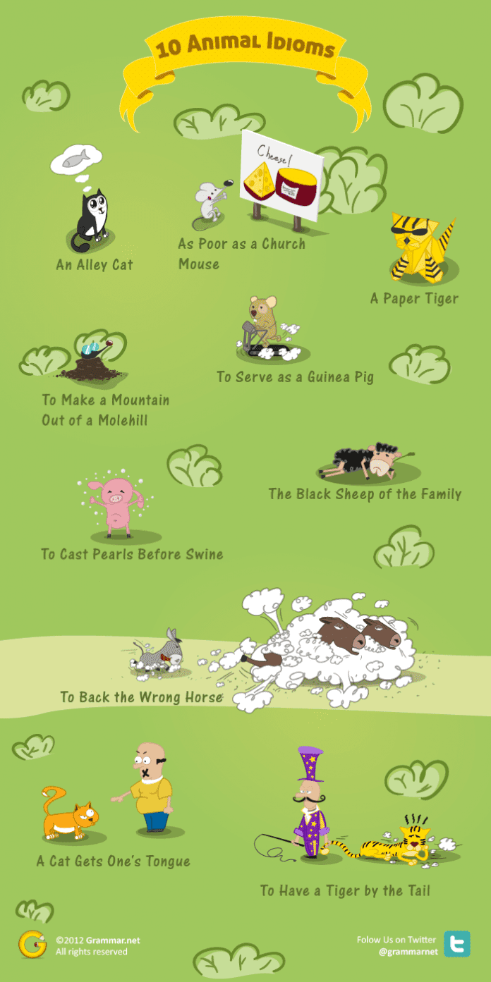 10 Animal Idioms