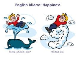 happiness idioms