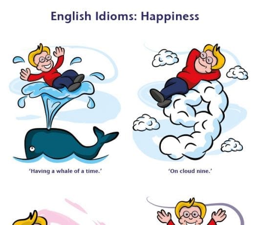 happiness idioms