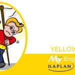 YELLOW-BELLIED color idiom