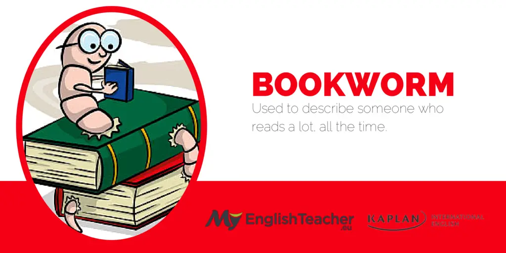 bookworm english idiom