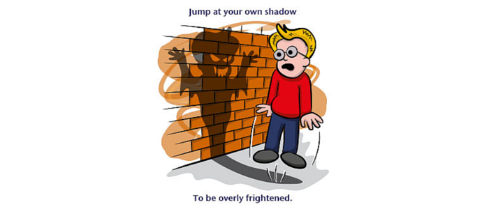 jump at your own shadow idiom