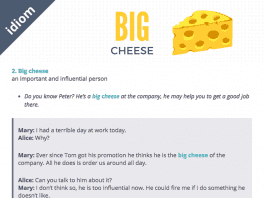 big cheese idiom examples