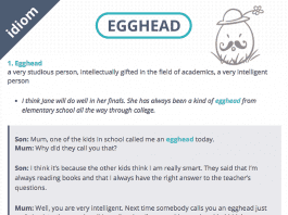 egghead definition