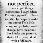 i am not perfect.. i say stupid things sometimes