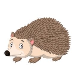 hedgehog