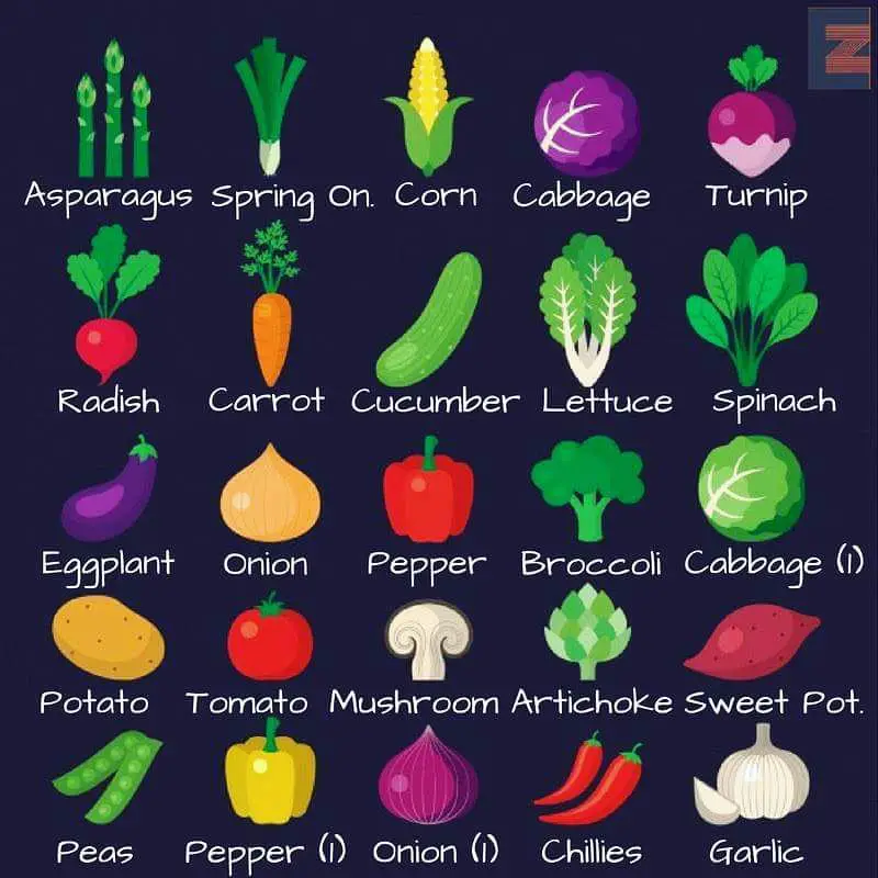vegetable types with pictures