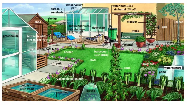 Garden Vocabulary: Fence, Gate, Lawn, Lawnmower, Vegetable ...