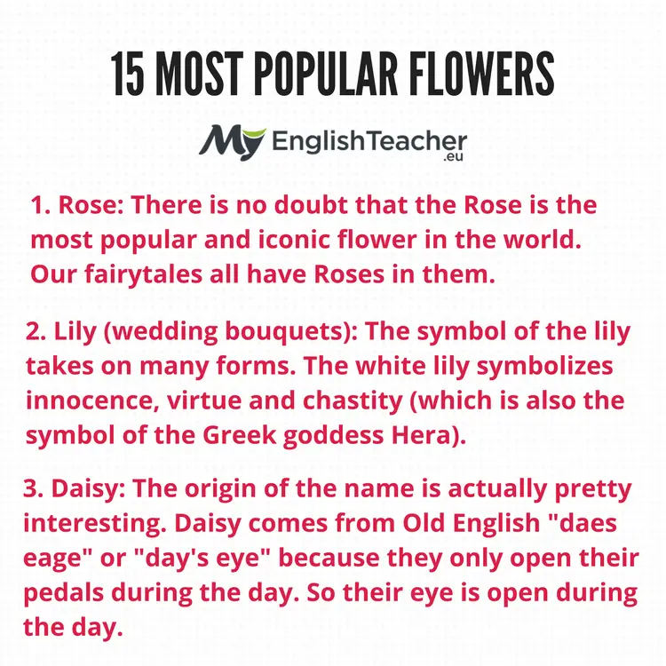 15 Most popular Flowers: Rose, Lily, Daisy,...