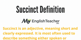 succinct definition sentence