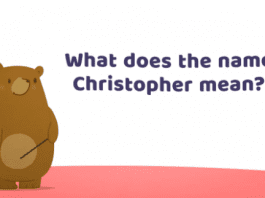 what does the name christopher mean