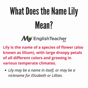 What Does the Name Lily Mean?