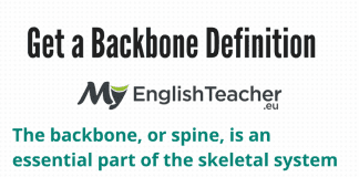 Get a Backbone Definition