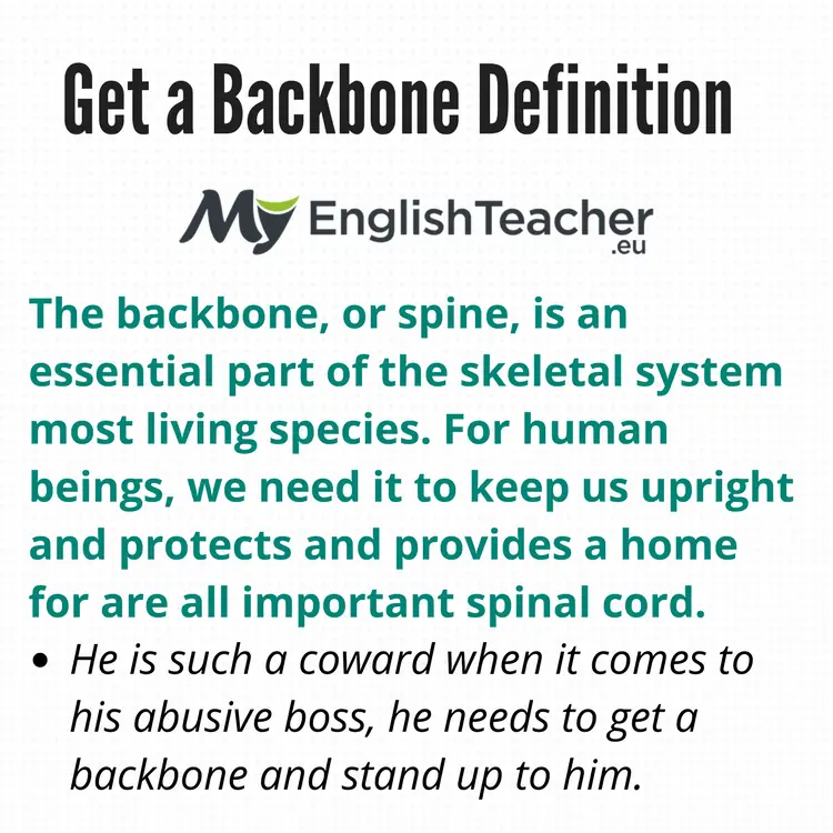 Get a Backbone Definition