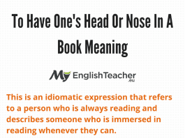 Nose In A Book Meaning