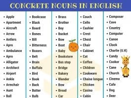 concrete nouns list A-D