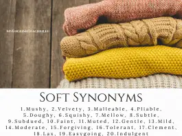 Soft Synonyms