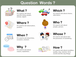 question words
