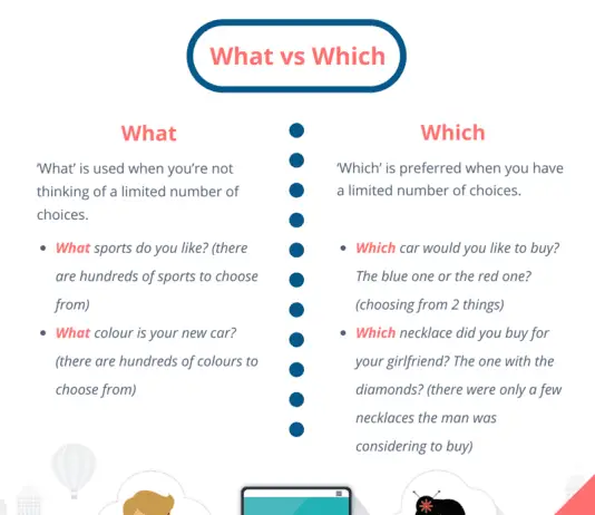 what vs which