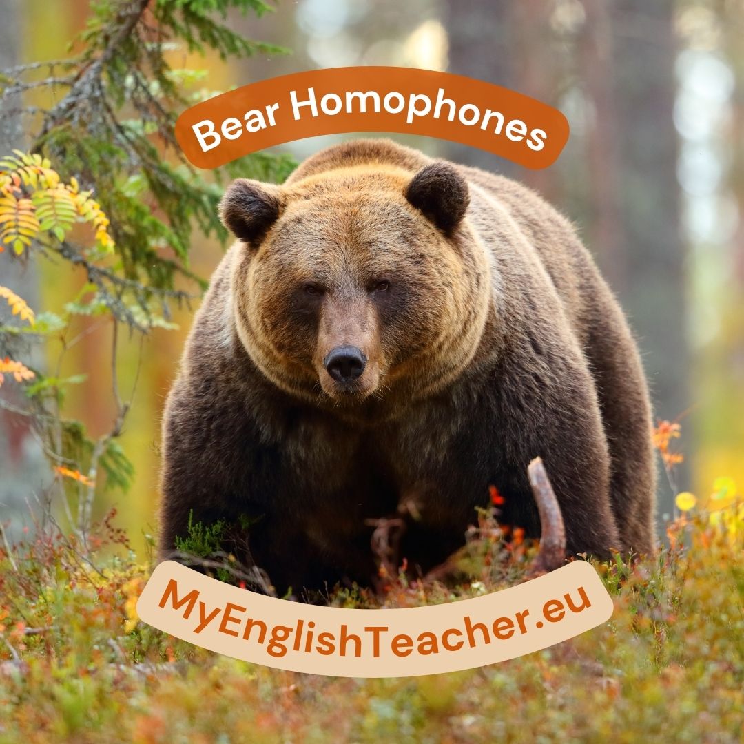 Bear Homophones