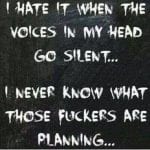 I hate it when the voices in my head go silent…. I never know what those fuckers are planning