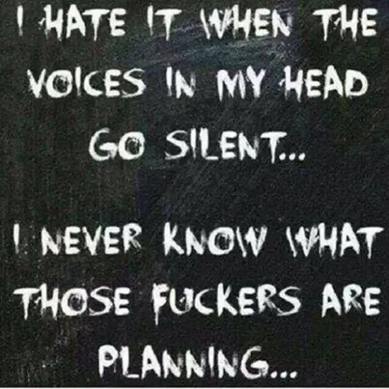 I hate it when the voices in my head go silent.... I never know what those fuckers are planning
