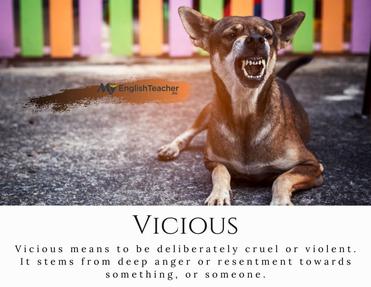 Vicious Definition & Vicious Circle & Vicariously Liable -   Blog