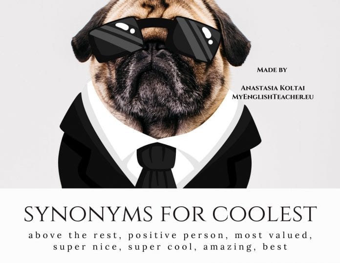 synonyms for coolest