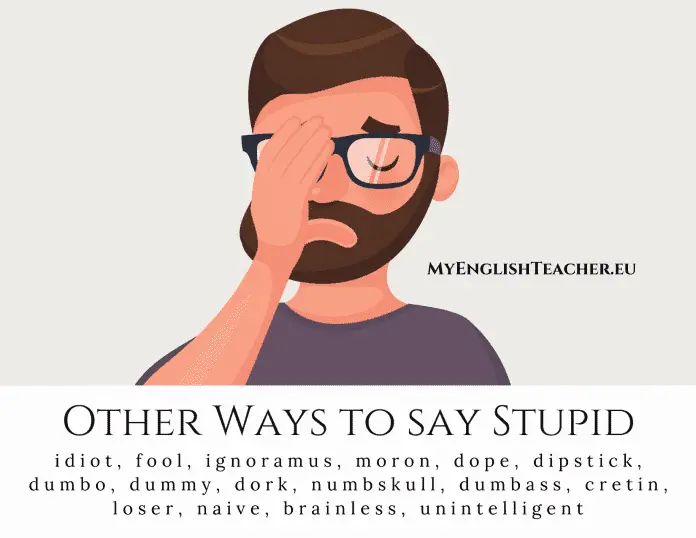 Other Ways to say Stupid