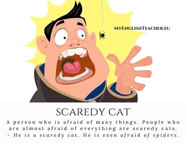 A scaredy-cat - Idioms by The Free Dictionary