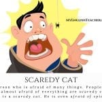 scaredy cat