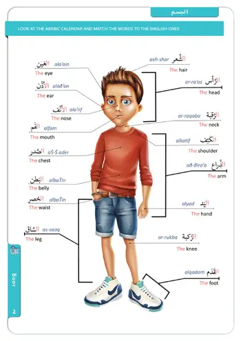 Body Parts in Arabic – أجزاء الجسم بالعربية