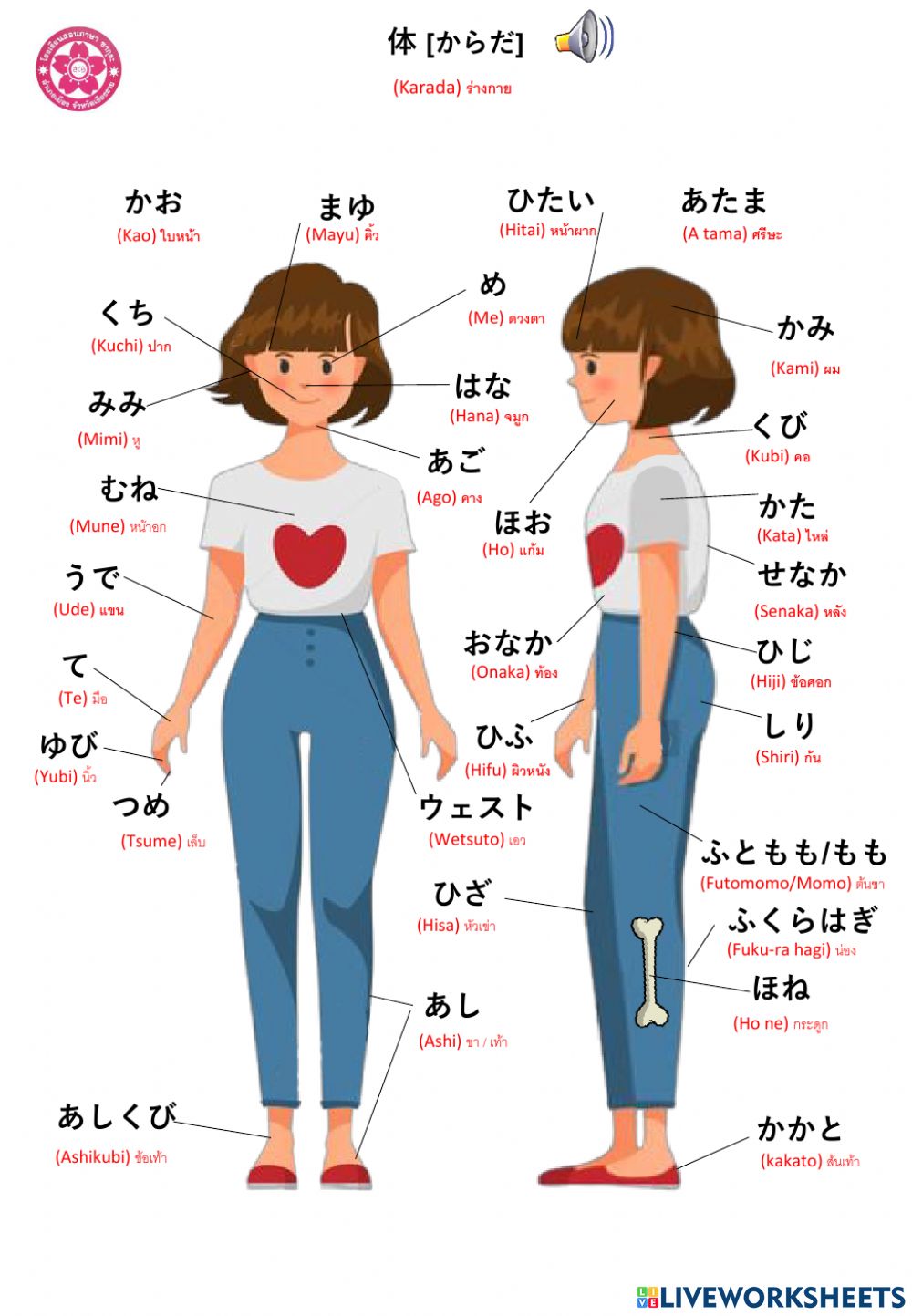 Body Parts in Japanese with English Translations – ボデいパーツ