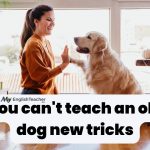 You can't teach an old dog new tricks meaning