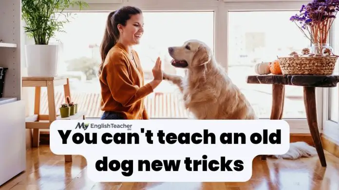 You can't teach an old dog new tricks meaning