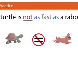 a turtle is not as fast as a rabbit