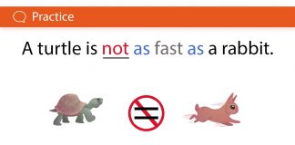a turtle is not as fast as a rabbit