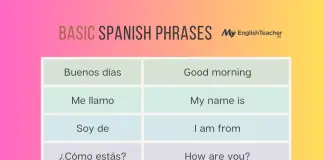 Basic Spanish Phrases for Beginners