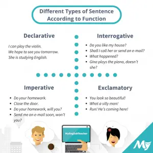 Different Types of Sentence According to Function